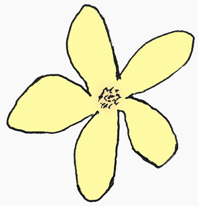 tekening bloem heggerank